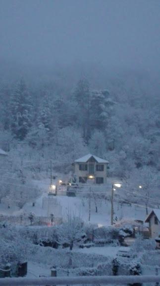 Torriglia La Torretta Bed & Breakfast المظهر الخارجي الصورة