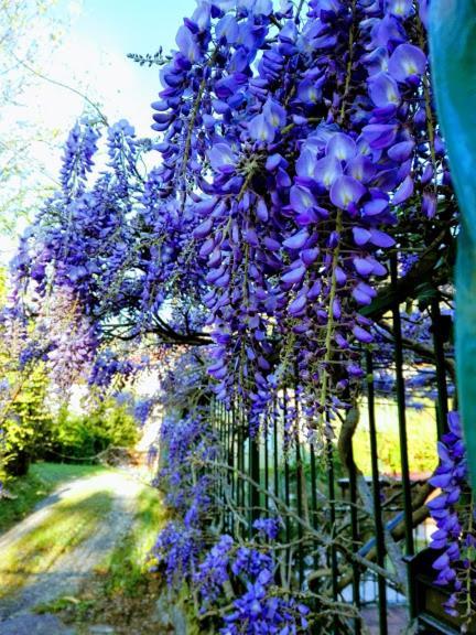 Torriglia La Torretta Bed & Breakfast المظهر الخارجي الصورة